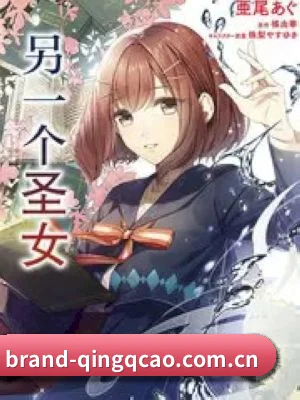 🍉 关于我们 - 体育资讯内容服务